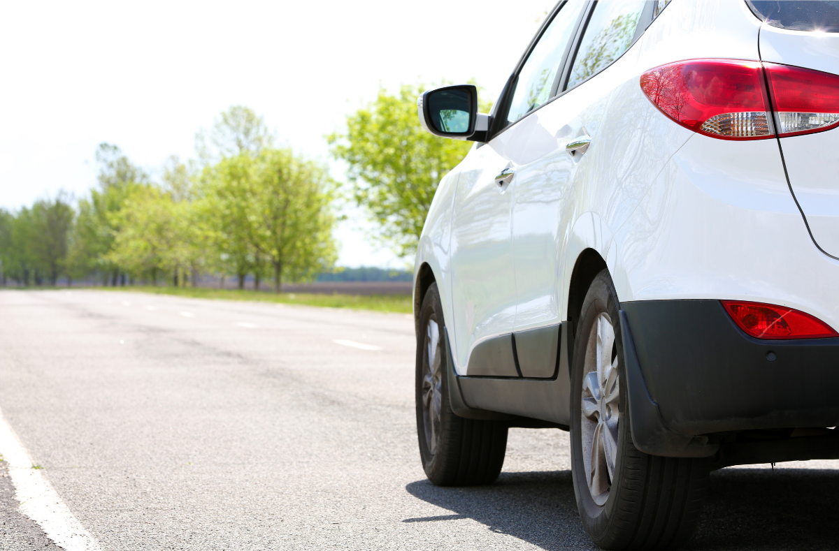 Fleet Management GPS Map